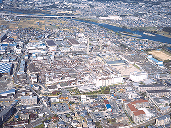 Uji Plant