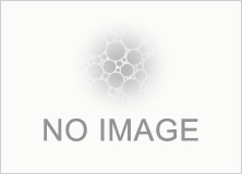 Radiation-shielding waterproof sheet