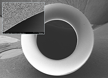 Organic Solvent Resistant Hollow Fiber Membrane Modules