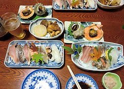 エギング釣行記