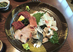 エギング釣行記