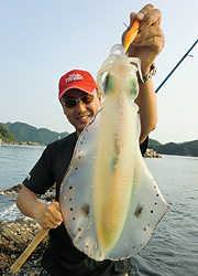 エギング釣行記