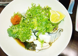 エギング釣行記