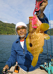 エギング釣行記
