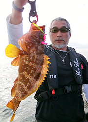 エギング釣行記