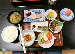エギング釣行記