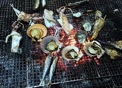 エギング釣行記