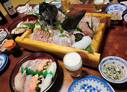 エギング釣行記