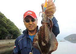 エギング釣行記