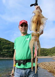 エギング釣行記