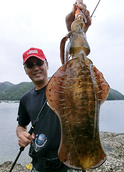エギング釣行記