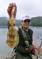 エギング釣行記
