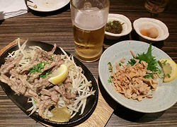 エギング釣行記
