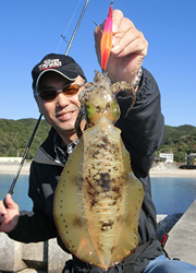 エギング釣行記
