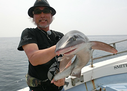 エギング釣行記