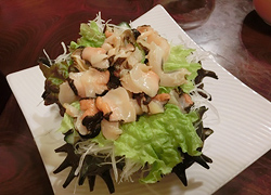 エギング釣行記