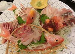 エギング釣行記