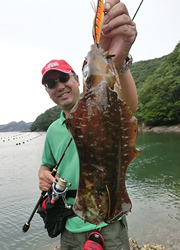 エギング釣行記