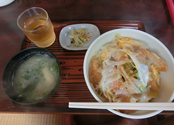 エギング釣行記