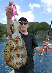 エギング釣行記