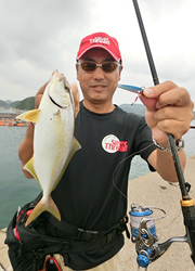エギング釣行記