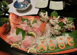 エギング釣行記