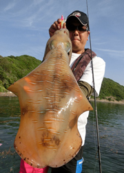 エギング釣行記