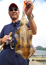 エギング釣行記