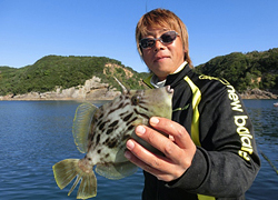エギング釣行記