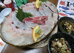 エギング釣行記