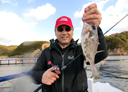 エギング釣行記