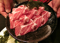 エギング釣行記