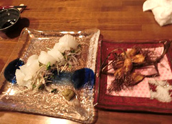 エギング釣行記