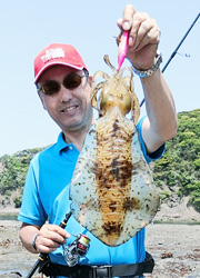 エギング釣行記