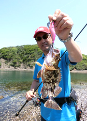 エギング釣行記