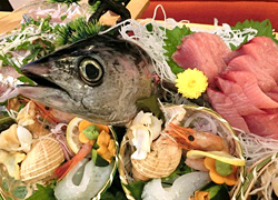 エギング釣行記