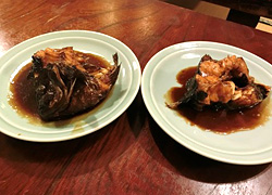 エギング釣行記