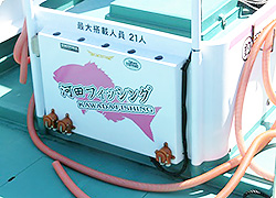 エギング釣行記