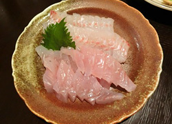 エギング釣行記