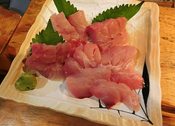 エギング釣行記