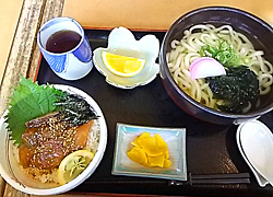 エギング釣行記