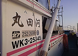 エギング釣行記