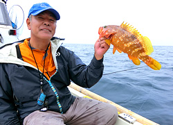 エギング釣行記