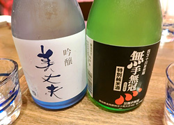 エギング釣行記