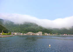 エギング釣行記