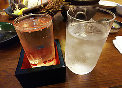 エギング釣行記