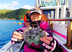 エギング釣行記