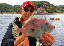 エギング釣行記