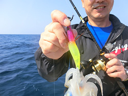 エギング釣行記