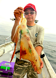 エギング釣行記